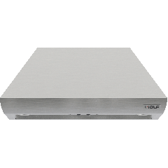 Wolf  PWC422418 42 Inch Professional Hood