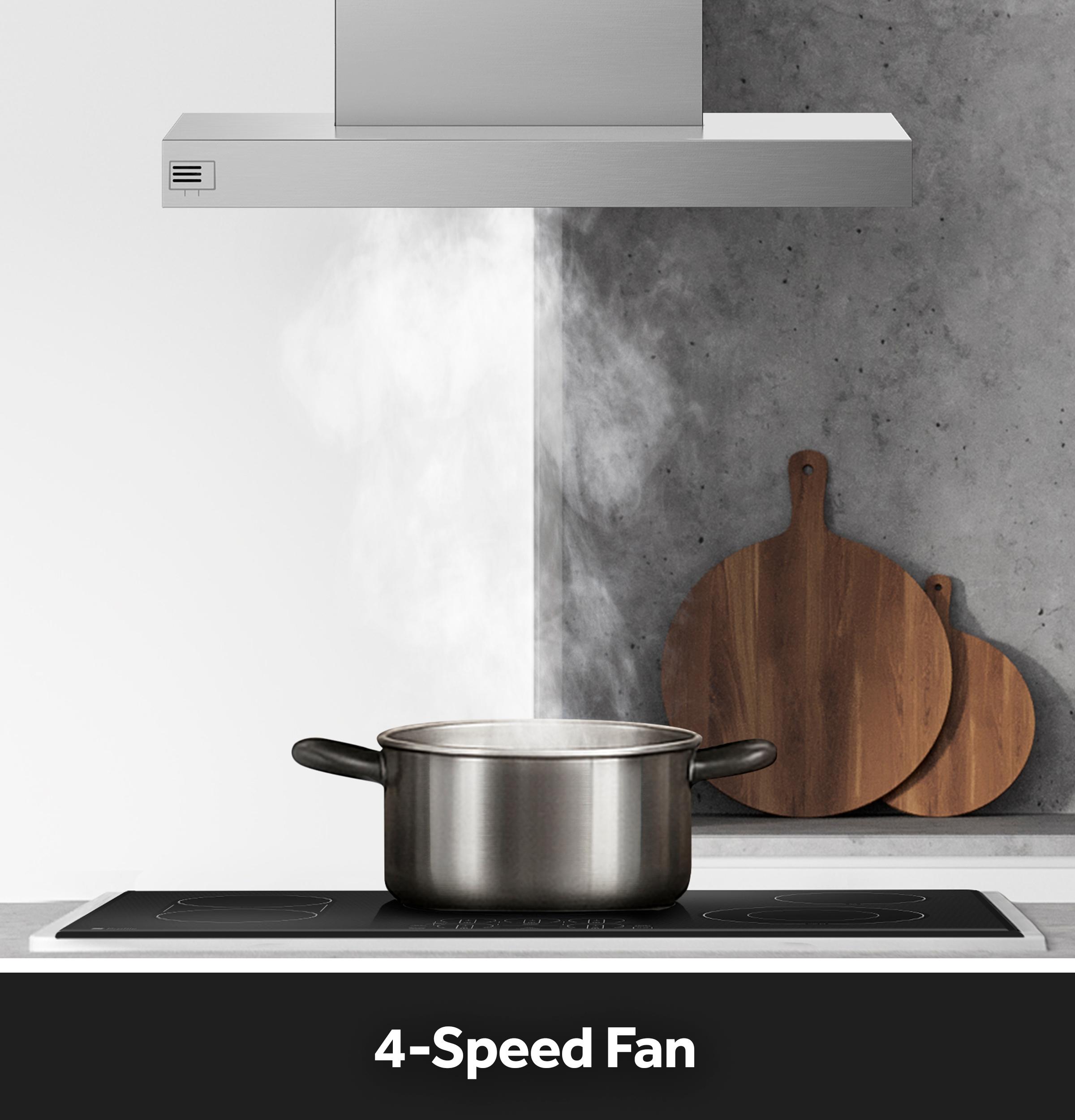 Four-Speed Fan