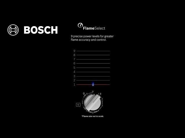 Eliminate the guesswork of cooking with FlameSelect(R)