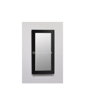 Robern 15" X30" x 4" Decorative Framed Cabinet Black Glass DC1630D4MGSN20