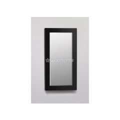 Robern 15" X30" x 4" Decorative Framed Cabinet Black Glass DC1630D4MGSN20