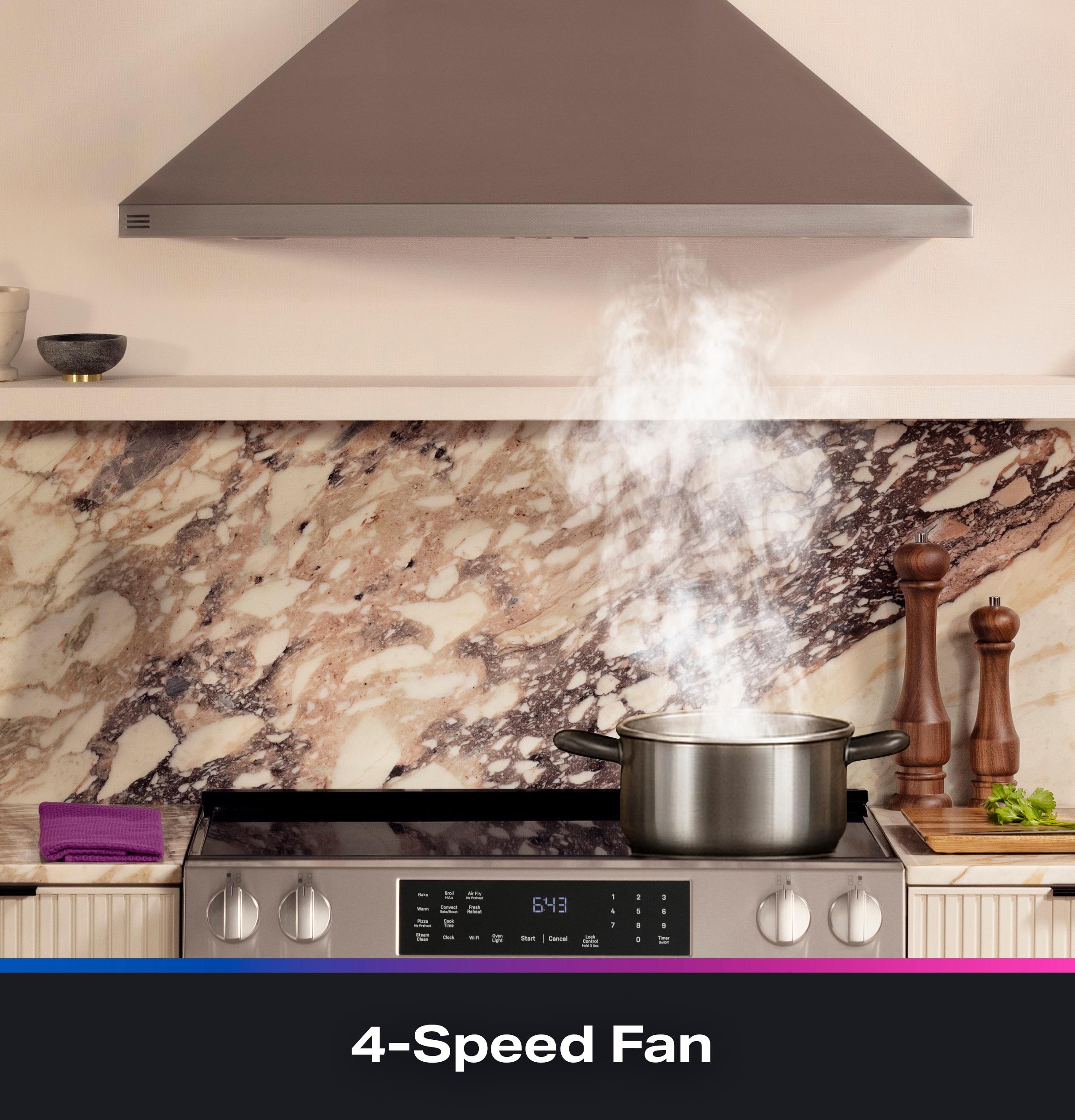 4-Speed Fan